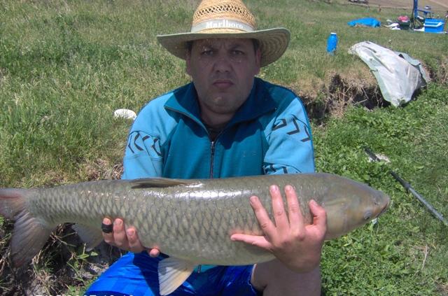 capturi - ten de Sarulesti